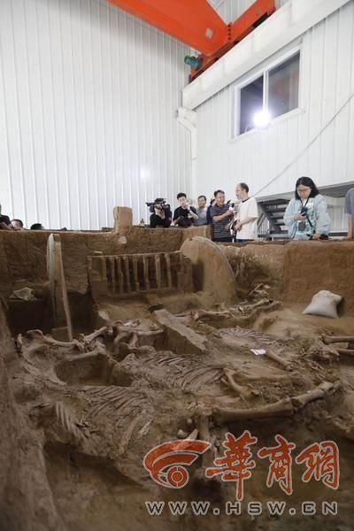  完毕|“西周第一豪车”清理保护完毕 马车装饰华丽被嵌成千上万绿松石