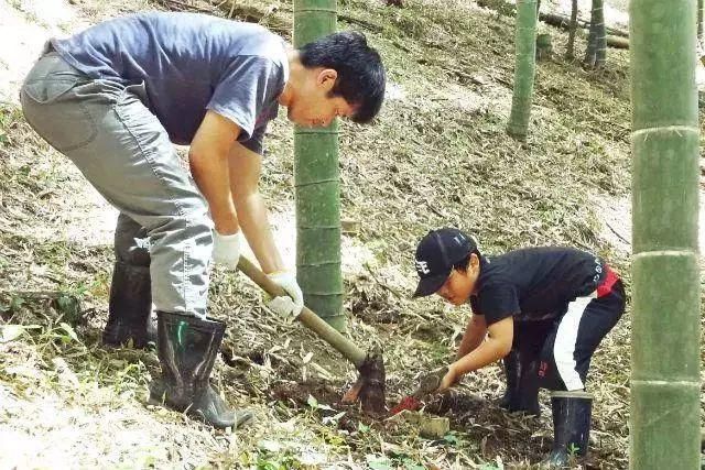  离奇失踪|5岁女孩离奇失踪，警犬表现异常诡异，3000多人搜寻无果！