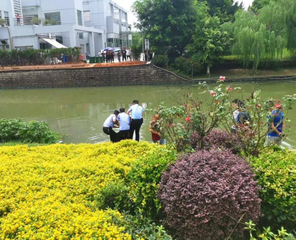  灵溪|灵溪一女子跳河……