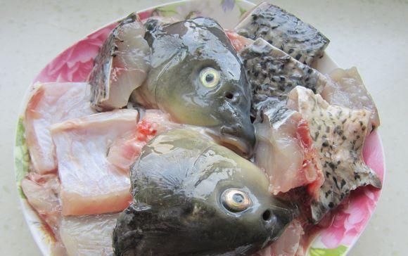 新鲜鱼|曾经是“4大名鱼”之首,现在却无人问津,10块钱一斤没人买