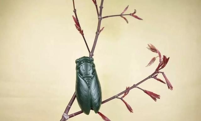 福泽|玉雕蝉的禁忌,你都了解吗?戴对才能腰“蝉”万贯、福泽一生!