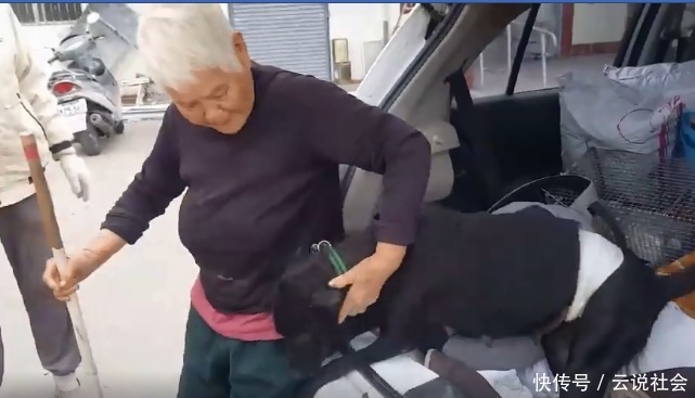 义工|93岁奶奶请义工带狗狗去绝育！狗狗超想奶奶，回来后狂亲