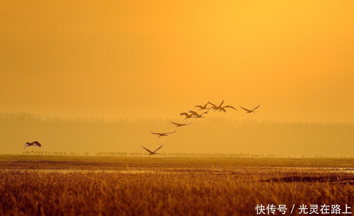  嫩江|映像中国—这里被称为“丹顶鹤之乡”，这里有众多湿地保护区景观
