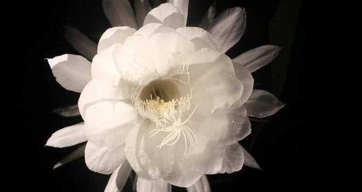  福缘|8月开始喜纳四方钱财，事业一路高升，福缘深厚的四大生肖