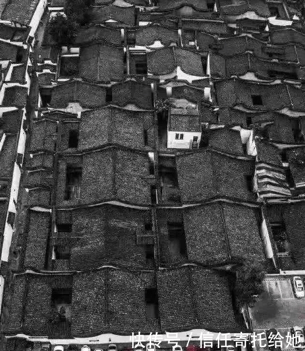 写生|"一个画家不会写生是非常危险的:第13届美展中的照片与作品"