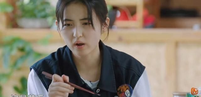  蘑菇屋|《向往》不是每道菜都出自黄磊之手, 妹妹碗里的饭暴露, 确有外卖