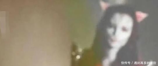 牵走|非诚勿扰上,吓到人不敢牵走的“猫脸女孩”,卸妆后让人后悔不已