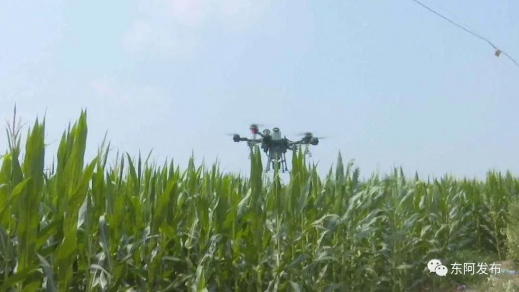 田野|【走向我们的小康生活】东阿：土地托管 “托”起希望的田野