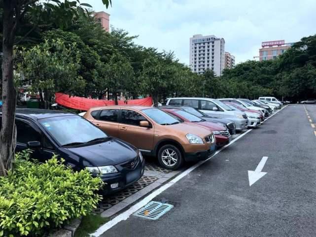  鹅绒|男子占女子车位停车被堵，女子：想挪车先赔我1万元鹅绒被的钱