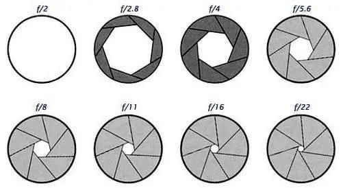 视角|【摄影讲评】焦距到底是个什么 第1226讲?