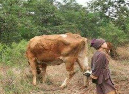 父母|朱元璋曾给地主刘德放牛,朱元璋衣锦还乡后,是如何对待刘德的