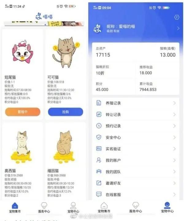 电信|反电信诈骗 | 因为“云养猫”,6000多人被骗上亿元!