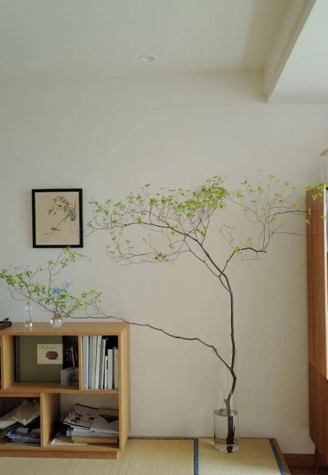  吊钟|她们的家，美得很让人种草