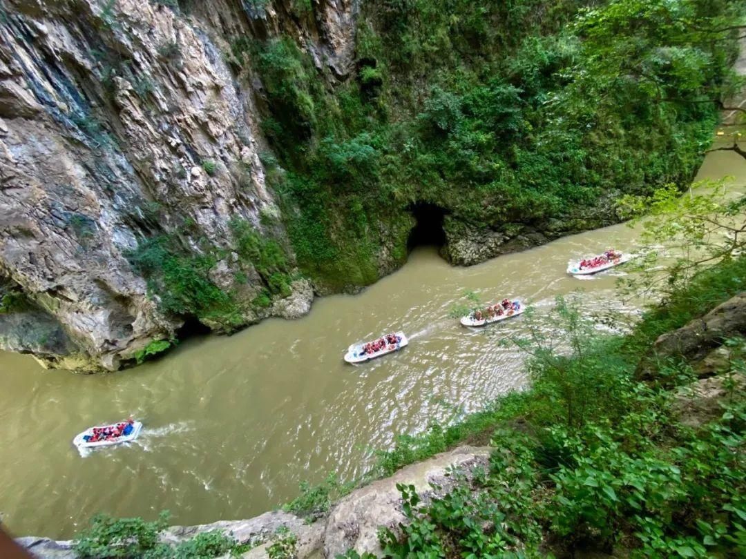 诈骗|集资诈骗700多万元，一审获刑12年