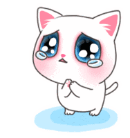  广告牌|看见前面一个广告牌要掉了，刚说要躲开，话都没说完，就砸车上了