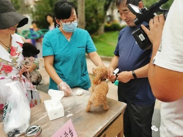 文明|「创城进行时」文明养犬，我们不“掉链”