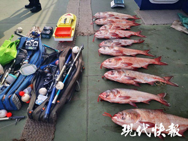 嫌疑人|南京警方严打长江非法捕捞，今年来已抓获154名嫌疑人