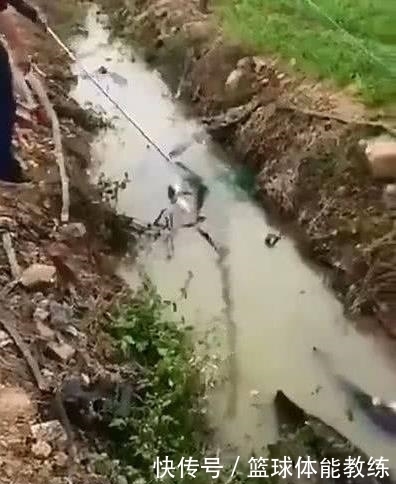  男子|野外游玩发现水中有黑影，走近一看，男子选择报警