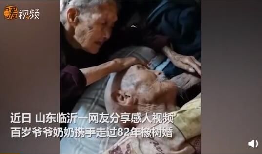  白头偕老|感动哭了!100岁奶奶贴脸陪伴98岁爷爷 网友:看着看着就流泪了