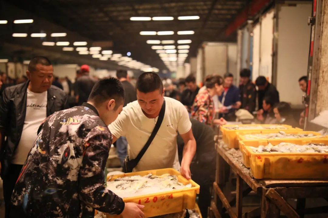 新鲜|“东海第一网”来了!透骨新鲜的招牌菜悉数回归