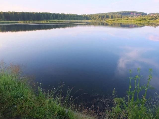  女子|俄罗斯女子散步，竟然遇到棕熊袭击，被折磨一番，最后活活痛死