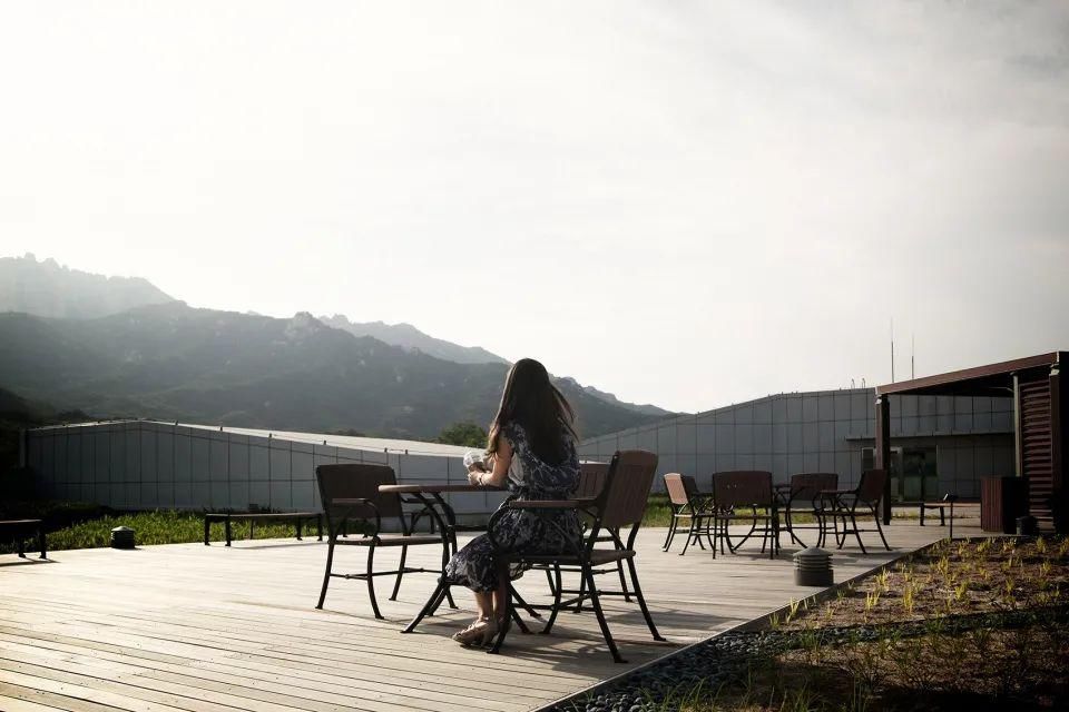  空间|5 个停车楼设计：“树”向生长的停车空间