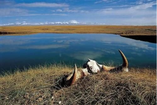 旅行|女大学生旅行无人区遇难引人深思