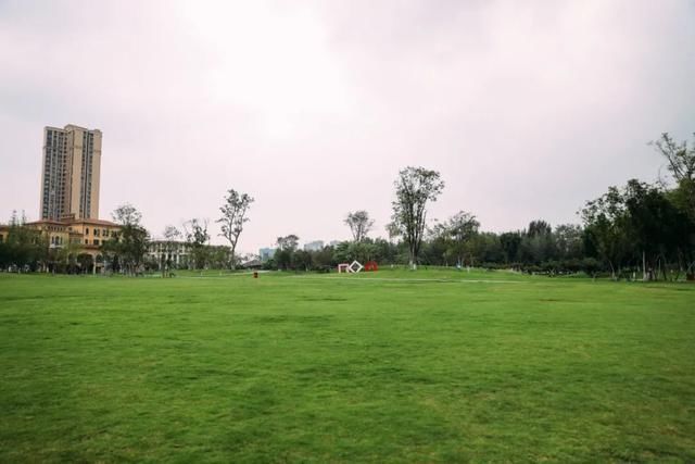 丝绸|“隐秘的角落”第二弹,你的家门口或许就隐藏着“诗与远方”