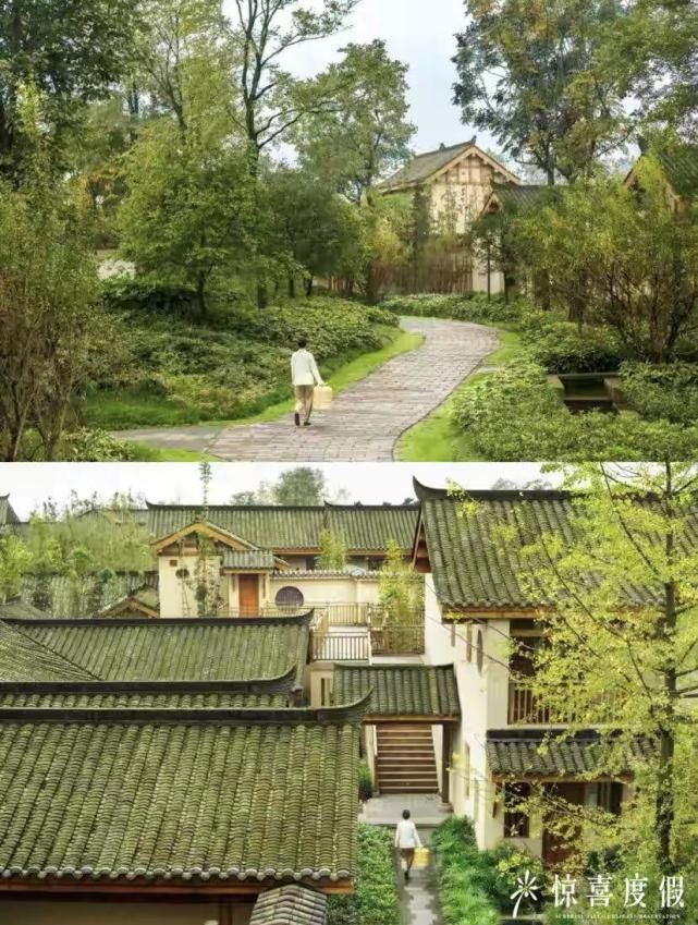  有山有水|成都周边亲子游必选｜全国仅此一家的青城山六善，有山有水有熊猫