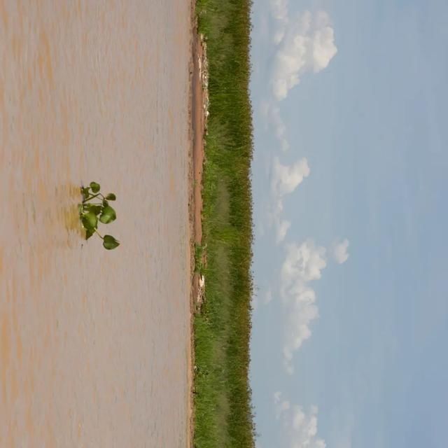  shui|陈燕：光不度，shui水成文