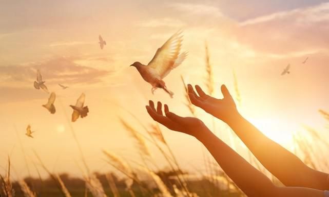 衣食住行|除了衣食住行，你的生命还需要什么？