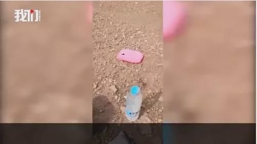  常有|青海旅游失踪女大学生遗骸找到！附近高寒缺氧常有狼出没