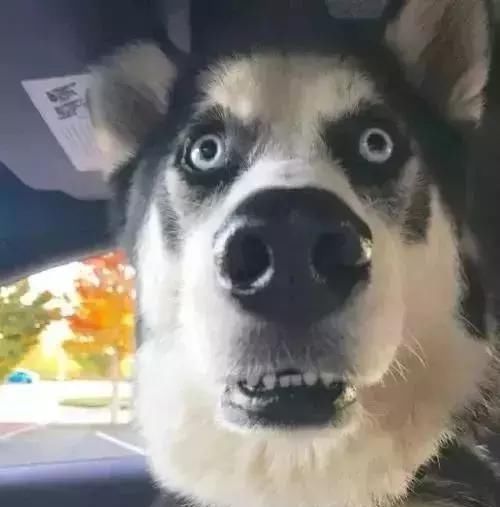  情况|这种情况下，副驾驶没坐人也算违法！