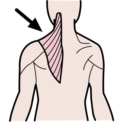  直角|你和女明星之间就是差了一个直角肩