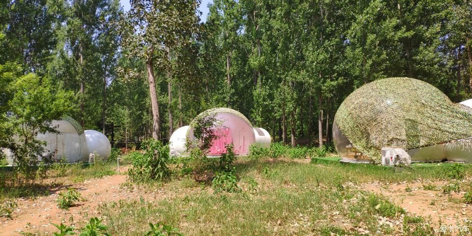  度假村|泗水万紫千红度假村一日游