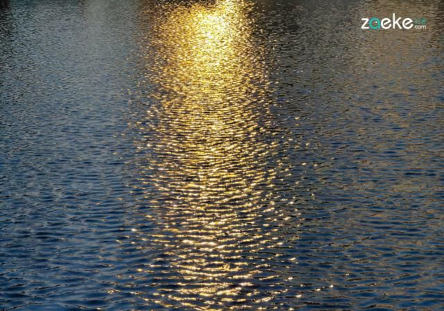  X50|vivo X50 Pro+ 拍照专项评测：强悍如此，堪称炫技