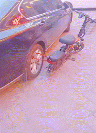 狗熊|搞笑GIF：打赢了是英雄，打败了是狗熊！