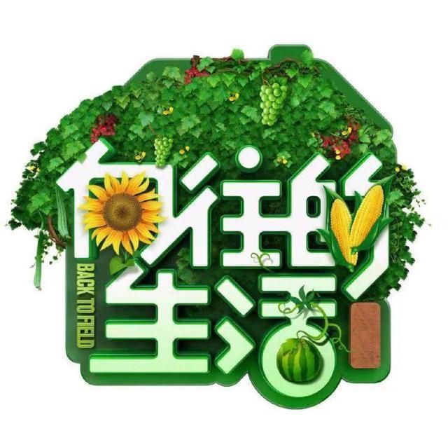  发自内心|网爆宋丹丹回归，《向往的生活》有救了，节目期待值再次爆满