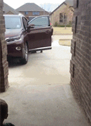 日子|搞笑GIF:这些日子受尽了多少委屈,在老丈人面前哭成这样啊。