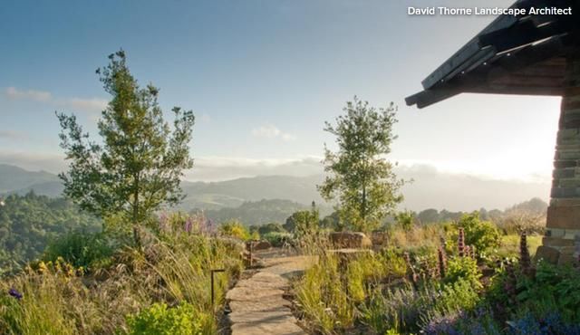  鸟声|闲时赏花落，醉闻林鸟声：这35个绝美的户外空间打动你了吗？