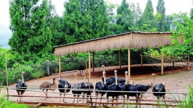  顺庆区|国庆8天哪里耍？小编带你玩转大美南充！