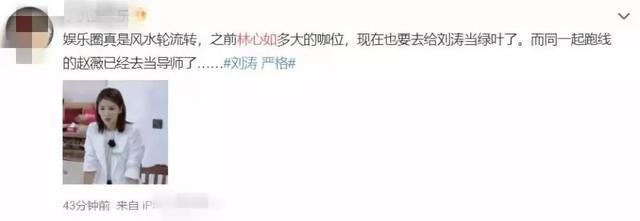  客栈|给刘涛当绿叶林心如上综艺咖位大降频被怼