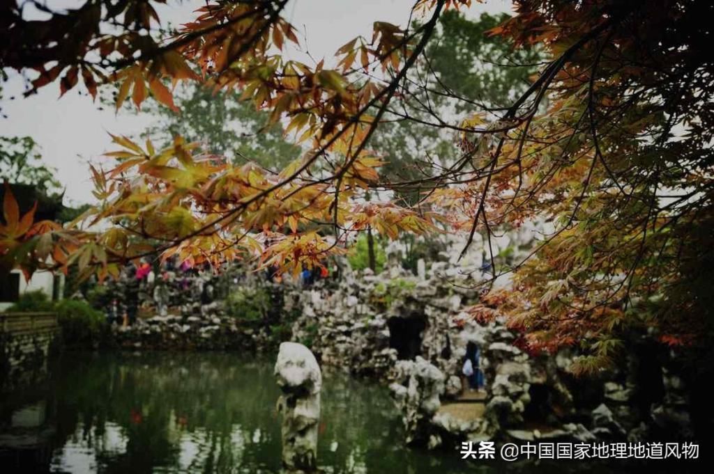 拙政园|买了拙政园的票就不用去狮子林啦？你错了