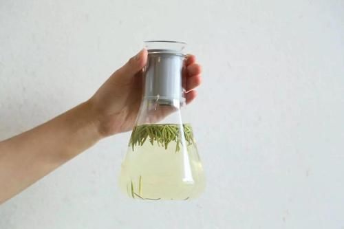  泡茶|冷泡茶伤胃？八成是你还不会泡！