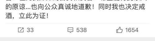  王岳伦|王岳伦深夜发道歉声明，承认自己不检点，还做了一个重要决定