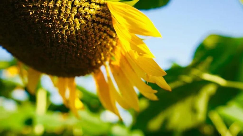 消息|最尴尬的不是发错消息没撤回，而是不知道谁是最爱你的人