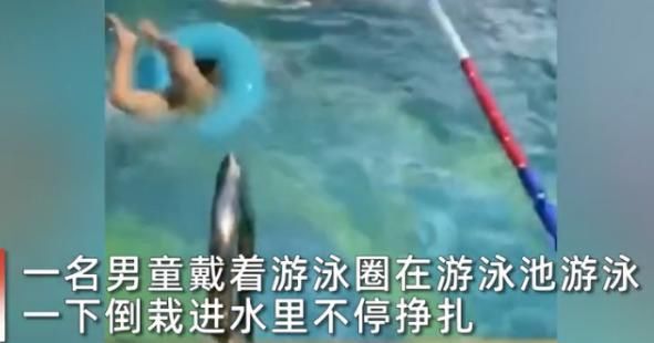 姐姐|男孩一头栽进泳池,瞬间溺水挣扎,陌生姐姐一把将他救起