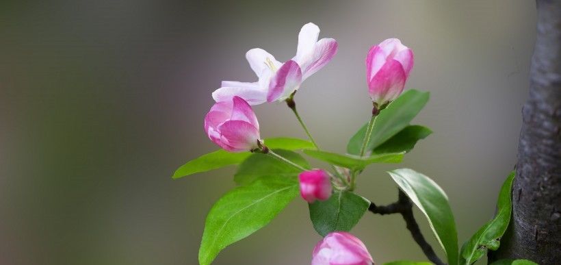  四大|8月开始运势上升，横财进门，富贵如雨的四大属相