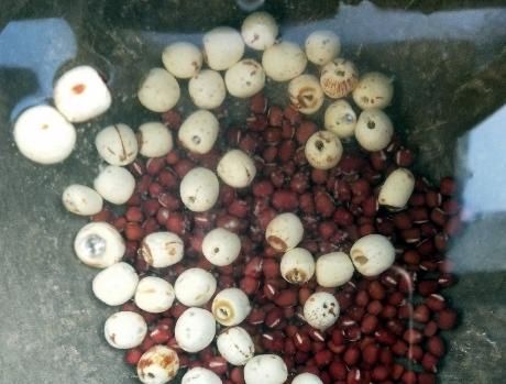  隔天|教你做红豆百合莲子汤，清甜软糯味道佳，女人隔天可吃一次