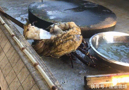 眼镜蛇|记者暗访多地发现仍有人偷卖野味：可预定竹鼠，眼镜蛇85元1斤！